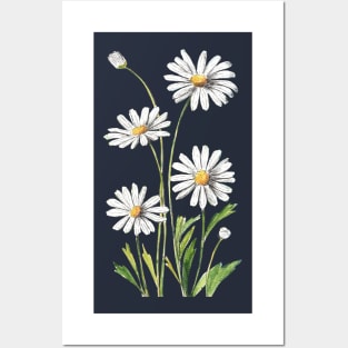 White Daisies Flowers Watercolor Painting Posters and Art